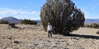 North Shore Continues To Advance Rio Puerco Towards Drilling