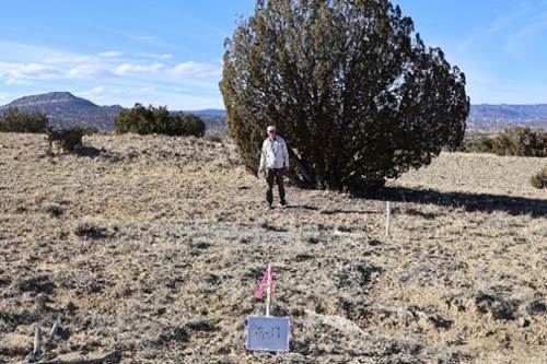 image202602230339551qrnwr