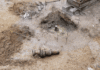 ATA Associates Announces Strategic Expansion of Petrochemical Forensics Capabilities