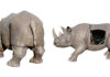 Ripley’s Acquires Iconic ‘Ace Ventura’ Rhino From Infamous Scene