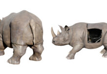 Ripley’s Acquires Iconic ‘Ace Ventura’ Rhino From Infamous Scene