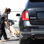 Allied Universal Recognized For Third Consecutive Year Among America’s Greatest Workplaces for Women by Newsweek