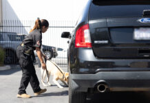 Allied Universal Recognized For Third Consecutive Year Among America’s Greatest Workplaces for Women by Newsweek