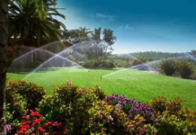 Smart Home Irrigation & Lighting Inc. Receives 2026 Consumer Choice Award for Irrigation Systems in Niagara