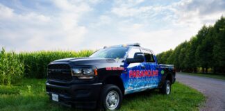 Paramount Landscaping Wins 2026 Consumer Choice Award in Hamilton and Niagara