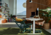 LiberNovo: From Spring Cleaning to Physical Renewal