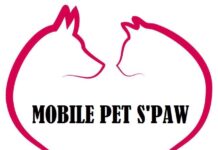 Mobile Pet S’Paw Named 2026 Consumer Choice Award Winner for Pet Grooming in Peel Region