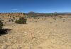 North Shore Engages Drill Contractor and Continues to Advance Rio Puerco Project