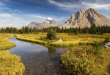CORRECTION FROM SOURCE: Announcing the 2026 Central Alberta Consumer Choice Award Winners