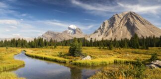 CORRECTION FROM SOURCE: Announcing the 2026 Central Alberta Consumer Choice Award Winners