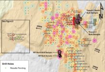 Inventus Expands Shallow Gold Mineralization and Advances Bulk Sampling at The Pardo River of Gold Project