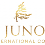 Juno International Corporation Acquires Securities of Rocky Shore Gold Ltd.